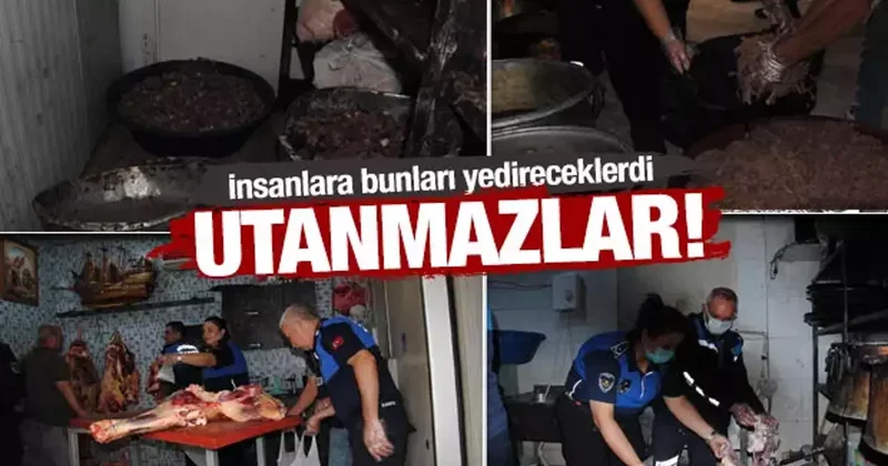 Şanlıurfa’da rezil görüntü! 1 ton kokmuş ve bozuk et ele geçirdi