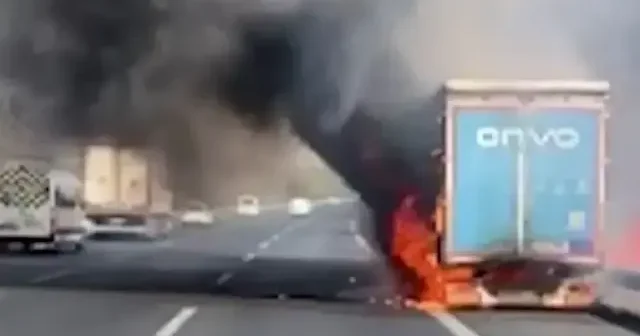 Adana da seyir halindeki TIR dan çıkan yangın ormanlık alana sıçradı VİDEO İZLE
