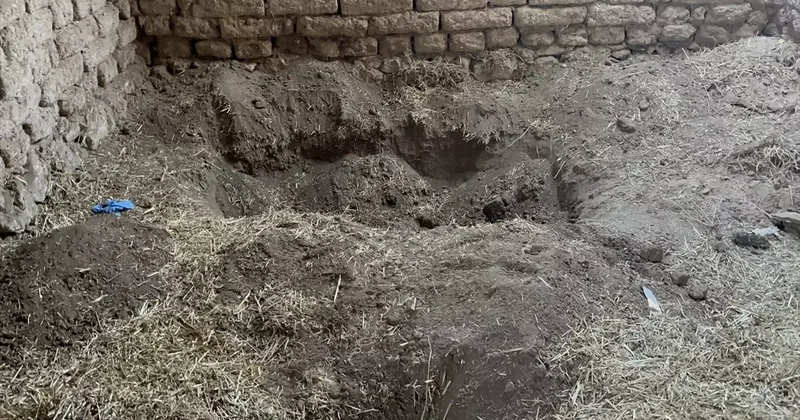14 yıllık sır perdesinin arkasından kardeşi çıktı! İşte verdiği ifade
