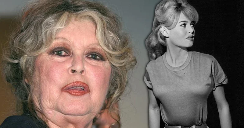 Efsane oyuncu Brigitte Bardot hastaneye kaldırıldı