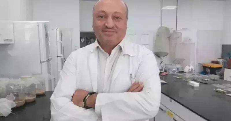 Türkiye yi saran kokarca kabusu için korkutan değerlendirme: Yok etme şansımız yok