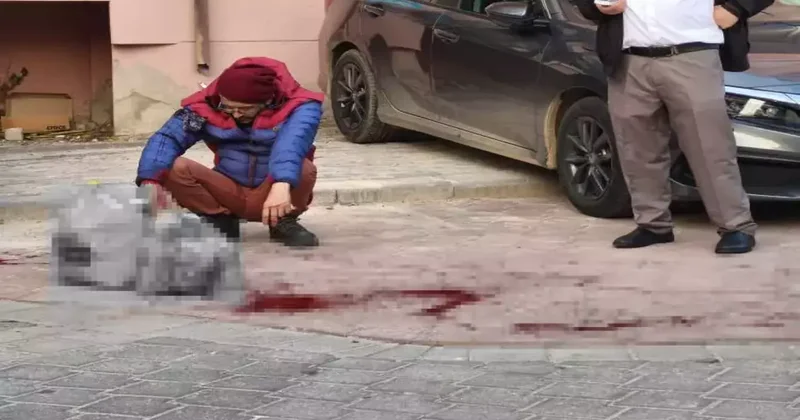 Evden çıkan ağabeyini sokak ortasında bıçakladı