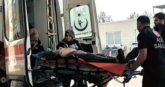 Ceviz toplamak için çıktığı ağaçtan düşüp öldü Bursa Haberleri