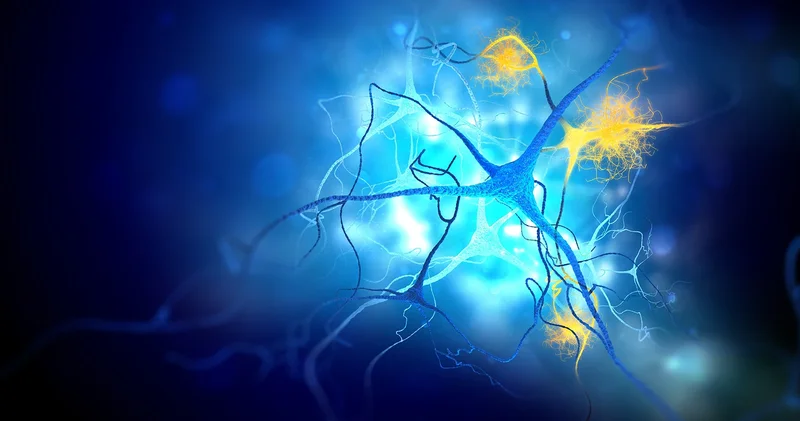 Alzheimer ve kanser tedavisinde yeni umut