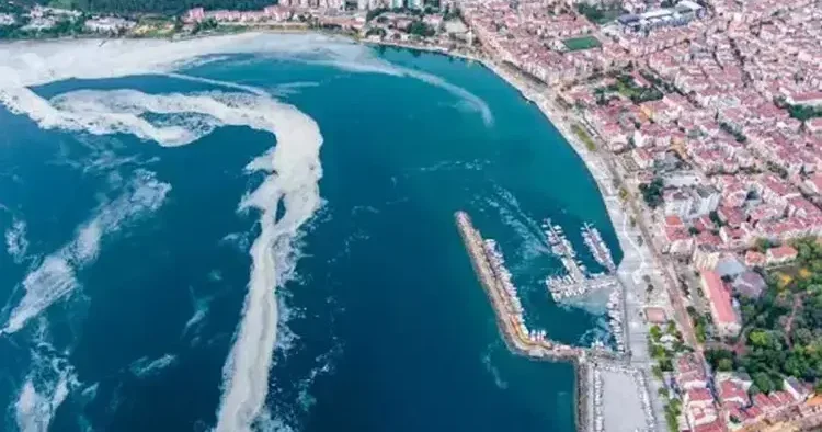 Marmara ya kıyısı olan illerde, balıkçılara ilave destek verilecek