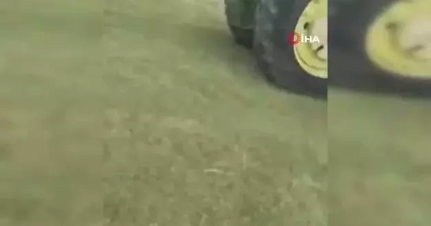 ABD de tahıl silosu çöktü! Yaşanan panik anları kameraya böyle yansıdı