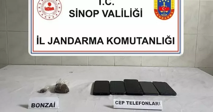Sinop ta bonzai ele geçirildi: 1 kişi tutuklandı