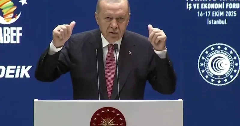 Cumhurbaşkanı Erdoğan, Afrikalılara Nazım Hikmet in dizeleriyle seslendi