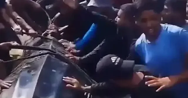 Han Yunus sahillerine dev balık vurdu: Gazzeliler 10 metre uzunluğundaki balığı görünce sevince boğuldu VİDEO İZLE