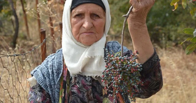Annesiyle başladığı çitlembik mesaisini 78 yaşında sürdürüyor Manisa Haberleri Habertürk Yerel Haberler