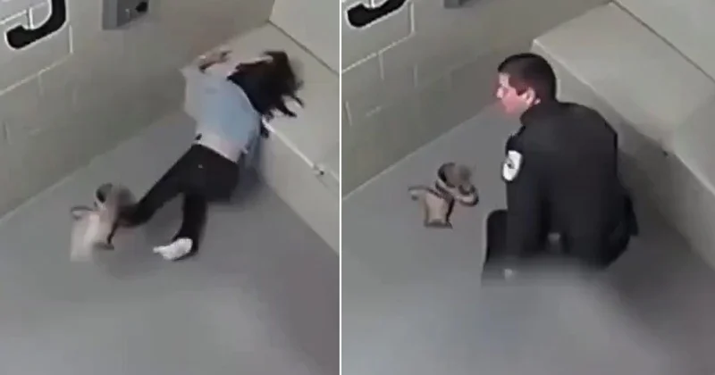 Polis hayatını kararttı! Gözü kör oldu, yüzü parçalandı