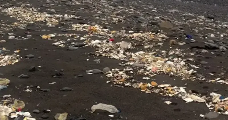 Yağmurla birlikte denize sürüklenen çöpler kıyıya vurdu