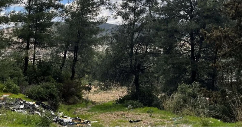 Danıştay’dan Akbelen kararı: 679 parseli acele kamulaştırılma kararı hukuka uygun Son dakika haberleri