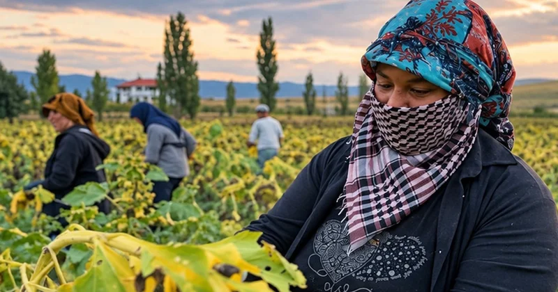 Kadın çiftçi borç içinde Sözcü Gazetesi