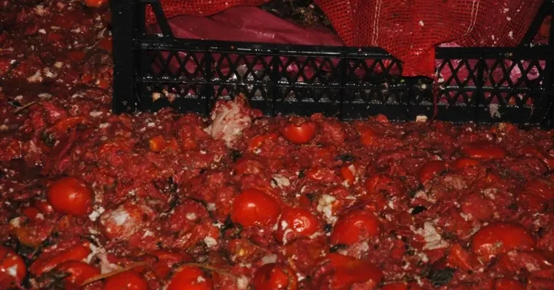 Çürümüş ve küflenmiş domatesleri halka yedireceklerdi... İfşa oldular