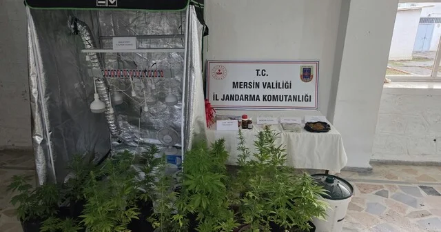 Evde özel bölme çıktı: Uyuşturucu üreten şüpheliler yakalandı Mersin Haberleri Habertürk Yerel Haberler