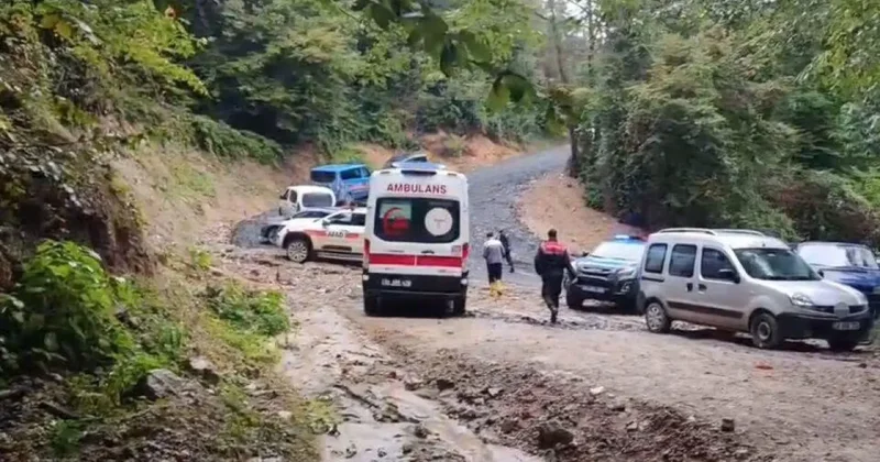Kestane toplamak için gitmişti: Acı haber geldi