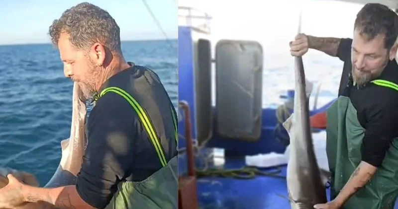 Balıkçı yakaladığı balığı hemen suya geri bıraktı