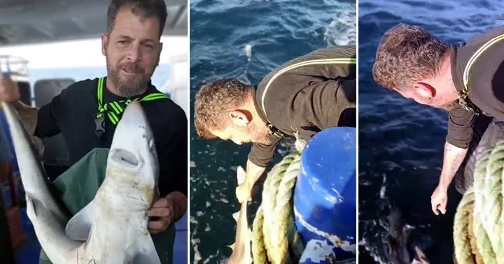 Ağına takılan camgöz köpek balığını yeniden denize bıraktı