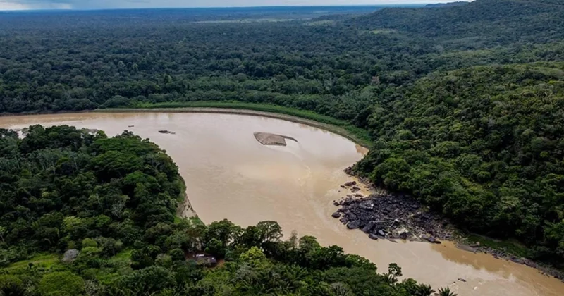 Amazon alarmda: Soya yasağının kaldırılması felaket getirebilir