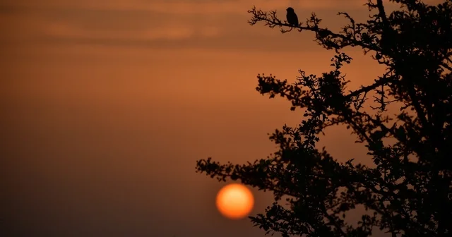 Kuş Cenneti nde sonbahar Samsun Haberleri
