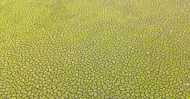 İstanbul için kıyamet senaryosu: Bu şekilde yaza girersek felaket olur