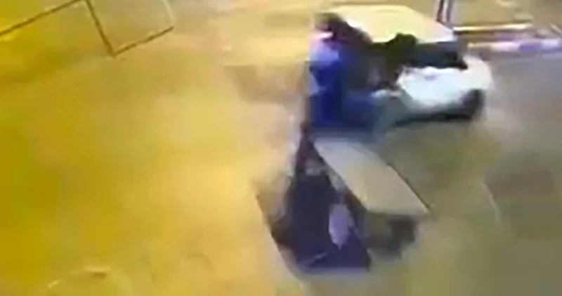 Adana da kazaya karışan başıboş at öldü