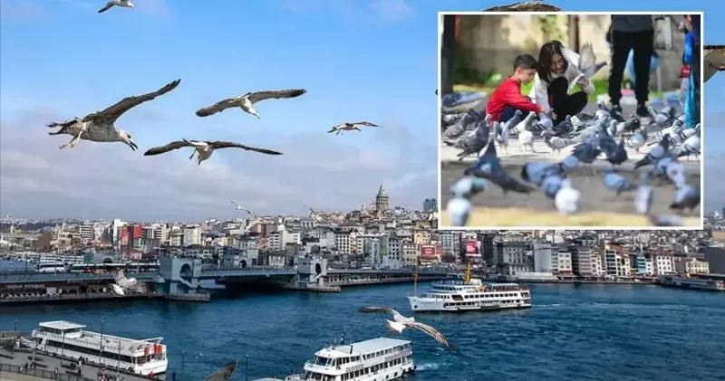 Pastırma yazı geri dönüyor! İstanbul, Ankara, İzmir hava durumu Gündem Haberleri