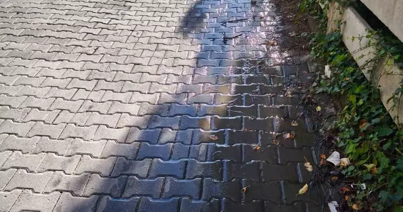 Mahallede tonlarca su boşa aktı