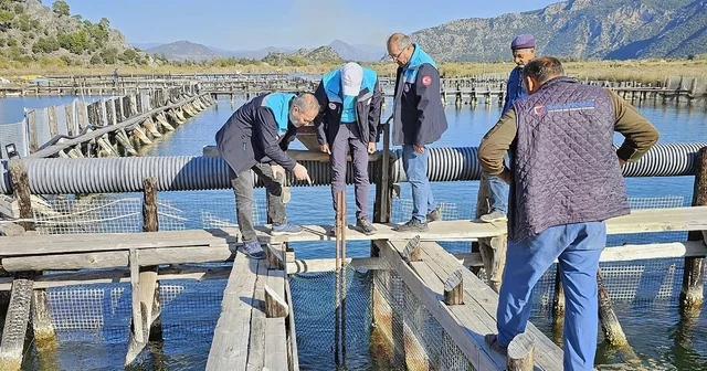 Köyceğiz Gölü, Dalyan ve İztuzu nda denetim Muğla Haberleri