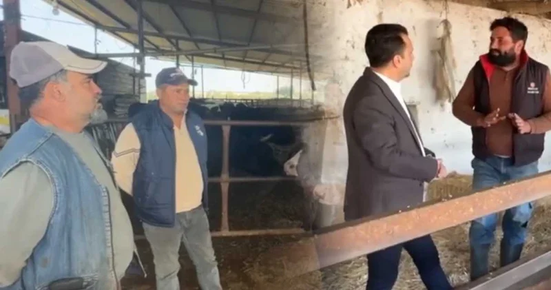 Üreticinin çilesi bitmedi! İşte böyle isyan ettiler: Kahvede otursan zarar etmezsin, biz çalışıyoruz zarar ediyoruz