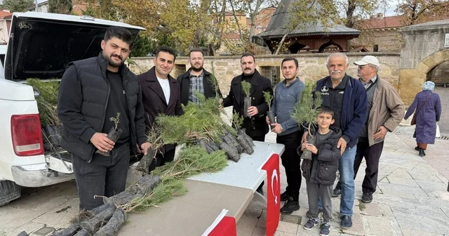 Merzifon da şehit askerler için fidan dağıtıldı Amasya Haberleri