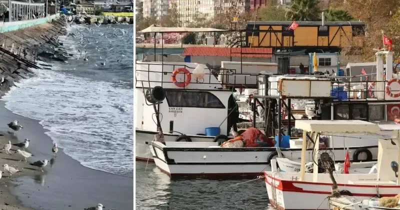 Tekirdağ’da lodos fırtınası balıkçıları limana döndürdü Tekirdağ Haberleri