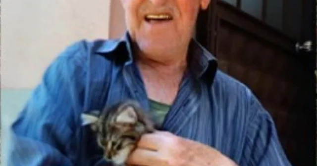 Ormanda kaybolan 88 yaşındaki adamdan acı haber: Dere yatağında cansız bedenine ulaşıldı Bolu Haberleri