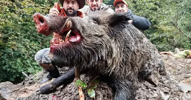 Trabzon haberleri Trabzon da avladılar! Cüsseleri korkutucu büyüklükte 17 Kasım 2025