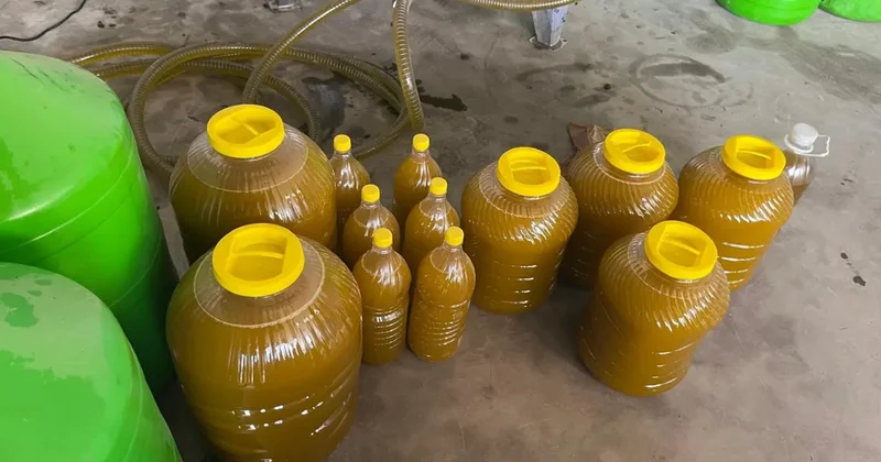 Kara meyveden altın sıvıya yolculuk: 6 kilodan 1 kilo çıkıyor