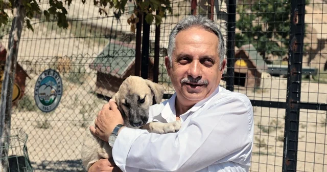 Talas Patievi Doğal Yaşam Alanı 500 can için seçkin bir yuva Kayseri Haberleri