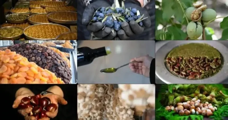 Türkiye’den küresel başarı: Coğrafi işaretli ürünlerde dünyada ikinci sıradayız Gündem Haberleri