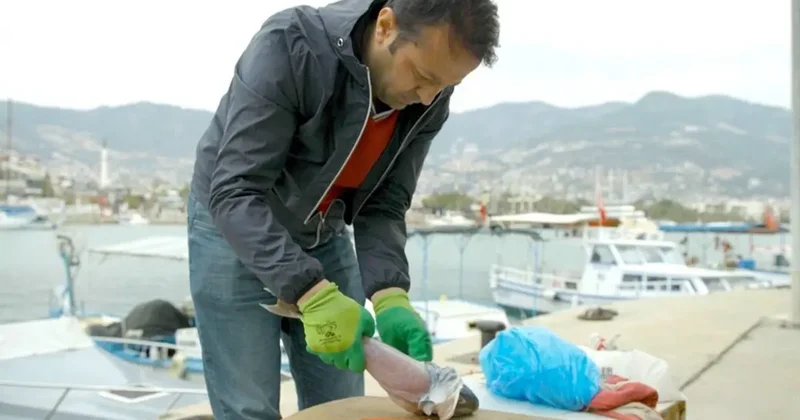 İzinsiz kullanılan Balon balığı projesi mahkemelik oldu