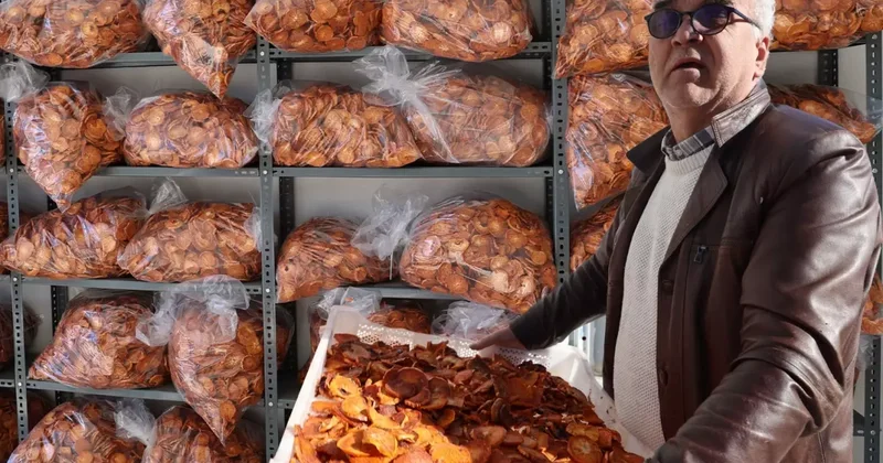 Köyüne kurduğu tesis ile ürünü 10 kat değerlendi! Çuval çuval ihraç ediyor