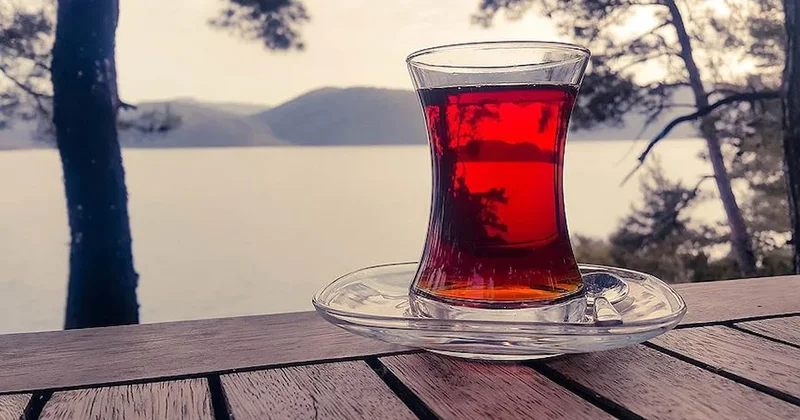 Dünyaca ünlü şirket Türkiye deki fabrikalarını resmen sattı Sözcü Gazetesi