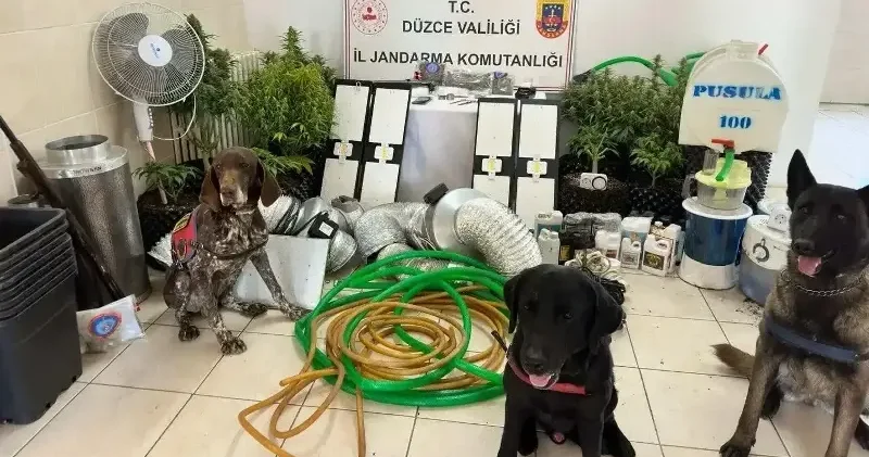 Uyuşturucu ticareti yapan 1 kişi gözaltına alındı Düzce Haberleri