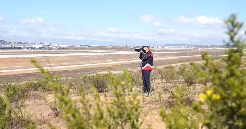 İstanbul ve Sabiha Gökçen Havalimanlarında kuş sürüleri için ornitologlar görev başında