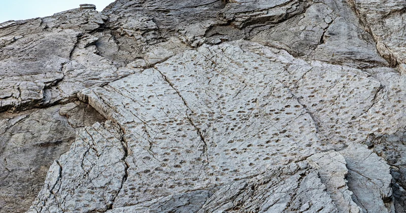 200 milyon yıllık, binlerce ayak izi! İlk kez paylaşıldı