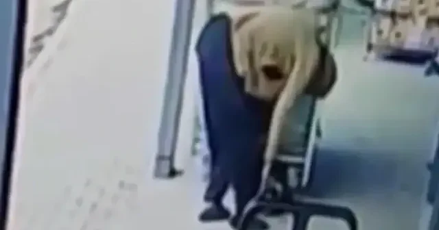 Mersin de yaşlı adam market kirlenmesin diye ayakkabısını çıkarıp girdi VİDEO İZLE