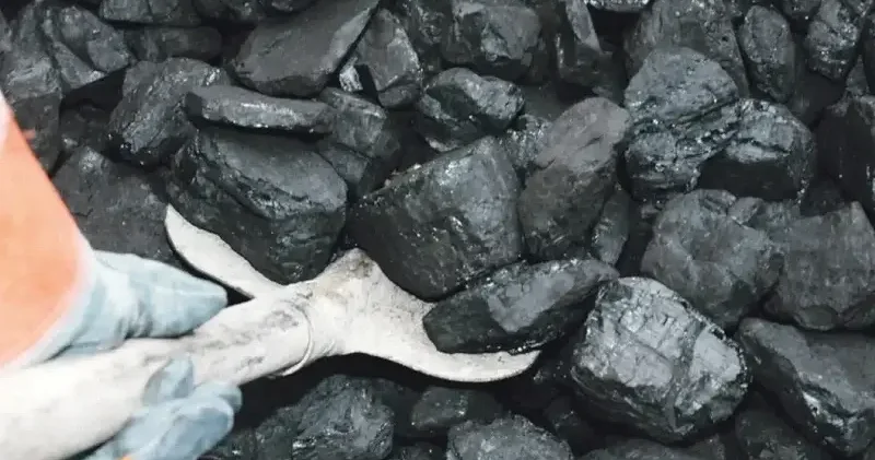 Küresel kömür talebi 2030 a kadar düşecek Dünya Haberleri