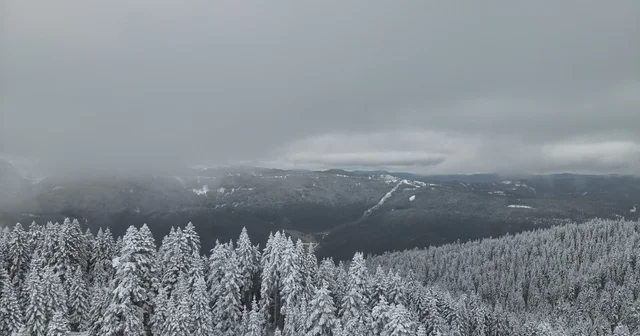 Karla kaplanan Ilgaz Dağı havadan görüntülendi Çankırı Haberleri