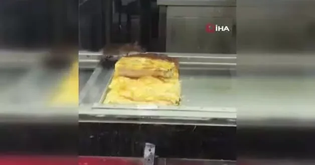 İzmir de yok artık dedirten görüntü: Börek tezgahlarında fare cirit attı