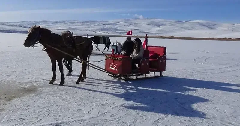 Atlı kızaklar, Çıldır Gölü’nde tura başladı