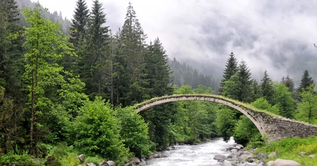 İklim değişikliğiyle mücadele en etkin silah ormanlar Trabzon Haberleri